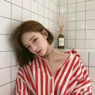 屋顶的公寓